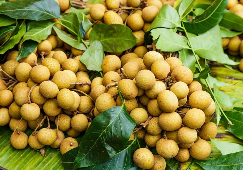 Longan in fruit market